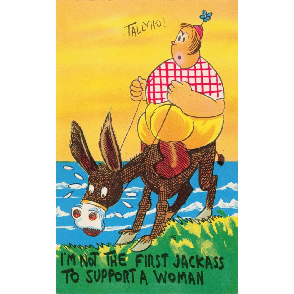 Vtg Humorous Postcard I'm Not The First Jackass To Support A Woman ShiniColor - Picture 1 of 2